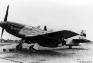 Asisbiz 44 13619 P 51D Mustang 352FG487FS HOB Williams Villian Lt Harry Barnes at Bodney 1944 01