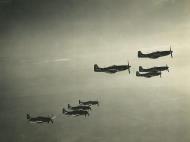 Asisbiz P 51D Mustangs 353FG351FS with 20 aircraft flying in formation 01