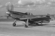 Asisbiz P 51D Mustang 355FG Q twin seater used to train weather scouts FRE2950
