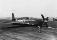Asisbiz 43 6503 P 51B Mustang 496FTG555FTS C7Y belly landed England 1944 FRE3241