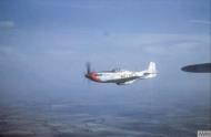 Asisbiz 44 14389 P 51D Mustang 4FG335FS WDT Suzy Lt Robert C Bucholz ltr lost 9th Apr 1945 FRE5310