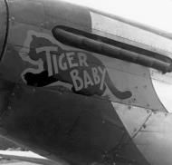 Asisbiz 44 64142 P 51D Mustang 4FG336FS VFG Tiger Baby Lt John P Murchake at Debden 01