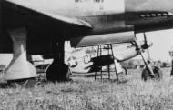 Asisbiz Dornier Do 335 Pfeil with a P 51 Mustang of the 55th Fighter Group at Kaufbeuren Germany 1945 FRE2444