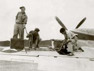 Asisbiz P 51B Mustang 14AF 23FG118TRS ground crew and armourer at work in China 1944 02