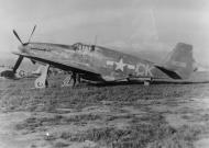 Asisbiz 42 103018 F 6C Mustang 12AF 12TAC111TRS CK at Pomigliano Italy Feb 1944 01