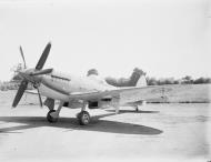 Asisbiz Fleet Air Arm Seafang Mk32 profile photo 1946 01