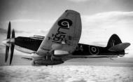 Asisbiz Fleet Air Arm Seafire 46 LA561 01