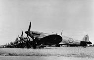 Asisbiz Fleet Air Arm Seafire Red A MA971 line up at NAS Lee on Solent 22nd Jan 1943 IWM A13988