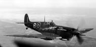 Asisbiz Fleet Air Arm Seafire XII in flight 01