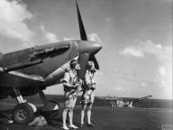 Asisbiz Aircrew Fleet Air Arm 834NAS aboard HMS Battler wearing summer attire IWM A21600