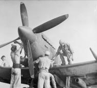 Asisbiz Fleet Air Arm 807NAS Seafire III NN117 South of France Aug 1944 IWM IWM A25500