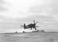 Asisbiz Fleet Air Arm Seafire White D taking from HMS Furious IWM A25073