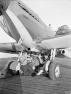 Asisbiz Fleet Air Arm Seafire loaded with 500lb bomb aboard HMS Khedive off Southern France Aug 1944 IWM A25492