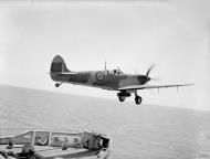 Asisbiz Fleet Air Arm Seafire loaded with 500lb bomb aboard HMS Khedive off Southern France Aug 1944 IWM A25493