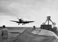 Asisbiz Fleet Air Arm Seafire makes a perfect approach to landing aboard HMS Victorious Sep 1942 IWM A12582