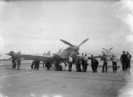 Asisbiz Fleet Air Arm Seafires aboard HMS Argus 15 17th Aug 1943 IWM A18882