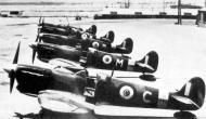 Asisbiz Spitfire MkVbTrop REAF White C ER602 Egypt 1946 01