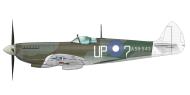 Asisbiz Spitfire LFVIII RAAF 79Sqn UPQ WO Hubert Eccleston A58 543 Morotai May 1945 profile by Eduard 0A