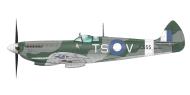 Asisbiz Spitfire LFVIII RAAF 548Sqn TSV FL David Glaser A58 482 JG655 Darwin NT May 1945 profile by Eduard 0A