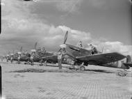 Asisbiz Spitfire LFVb's RAF 132Sqn lined up at Newchurch Kent IWM CH11473