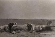 Asisbiz Spitfire MkIX RAF 132Sqn FFG MK639 sd by Hans Joachim Jabs Deelen 29th Apr 1944 NIOD