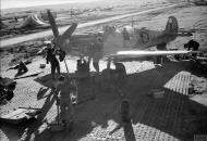 Asisbiz Spitfire LFVIII RAF 145Sqn ZXF JF503 dispersal area at Canne Italy IWM CNA2407