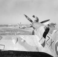 Asisbiz Spitfire MkIX RAF 145Sqn at Pachino Sicily IWM NA4296