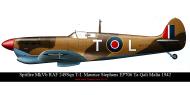 Asisbiz Spitfire MkVbTrop RAF 249Sqn TL Maurice Stephens EP706 Ta Qali Malta 1942 0A