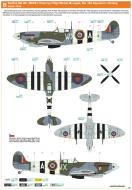 Asisbiz Spitfire MkIXc RAF 302Sqn WXA FSgt Michal Murayda MK924 RAF Chailey Jun 1944 profile by Eduard 0B