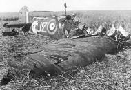 Asisbiz Spitfire MkIIa RAF 306 Polish Sqn UZM P8462 crash site Sep 1941 web 01