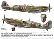 Asisbiz Spitfire MkIXc RAF 306Sqn UZK Kazimiers Rutkowski BS403 TC15015 Supermarine Spitfire MkIX Page 06