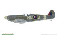 Asisbiz Spitfire MkVb RAF 310Sqn NNA FLt Frantisek Trejtnar AR423 at RAF Ibsley Hampshire England Sep 1943 to Feb 1944 by Eduard 0A