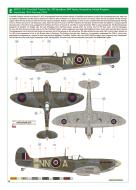 Asisbiz Spitfire MkVb RAF 310Sqn NNA FLt Frantisek Trejtnar AR423 at RAF Ibsley Hampshire England Sep 1943 to Feb 1944 by Eduard 0B