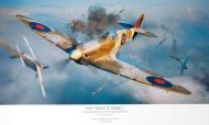 Asisbiz Spitfire MkVb RAF 310Sqn NNA artwork by Eduard 0A