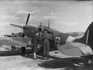 Asisbiz Spitfire MkIX RAF 322Sqn 3WB during a official visit 01