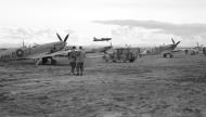 Asisbiz Spitfire MkVIII RAF 32Sqn GZM JF404 and HFIX GZB MA619 GZD at Foggia Italy 1943 IWM CNA2663