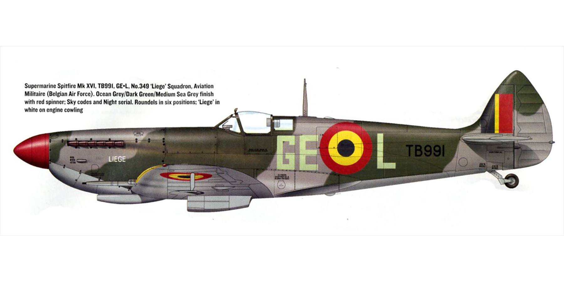Spitfire-XVI-RAF-349Sqn-GEL-TB991-Belgiu