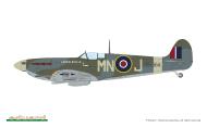 Asisbiz Spitfire MkVb RAF 350Sqn MNJ BM564 PO Andre MAF Plisnier based in RAF Redhill Surrey Aug 1943 0A