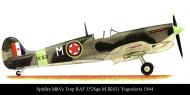 Asisbiz Artwork Spitfire MkVcTrop RAF 352Sqn M JK544 Yugoslavia Aug 1944 0A
