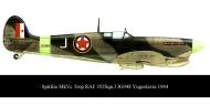 Asisbiz Spitfire MkVcTrop RAF 352Sqn J JG948 Yugoslavia 1944 00