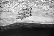 Asisbiz Spitfire LFVb RAF 601Sqn IRG AB502 UFV ER220 UFF EP481 off the Tunisian coast IWM CNA821