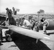 Asisbiz Spitfire MkVcTrop RAF 601Sqn Dennis Barnham Luqa Malta June 1942 IWM 1004