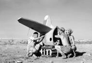 Asisbiz Spitfire tail section from RAF 601Sqn at Lentini West Sicily 1943 IWM CNA1329