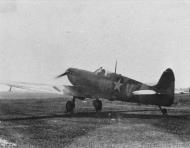 Asisbiz Spitfire MkVb USAAF 8AF 4FG334FS QVP 1942 FRE2269