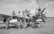 Asisbiz A Thunderbolt of RAF 81Sqn being prepared for action against Indonesian nationalists at Kemajoran airfield Batavia 1946 IWM