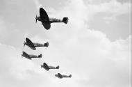 Asisbiz Spitfire MkVbs RAF 81Sqn FLZ FLJ FLR FLW n FLA the Hornchurch Wing IWM CH6381
