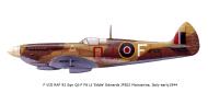 Asisbiz Spitfire HFVIII RAF 92Sqn QJF Eddie Edwards JF502 Italy 1944 0A