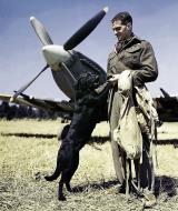 Asisbiz Aircrew RAF Ace Wg Cdr JE Johnnie Johnson DSO DFC with Labrador Sally at Bazenville Normandy July 1944 01