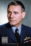 Asisbiz Aircrew RAF Group Captain A G Malan CO RAF 20 Wing IWM CH2661a