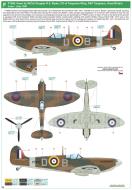 Asisbiz Spitfire MkIIa RAF Tangmere Wing DB WCmdr Douglas RS Bader CO P7966 Tangmere England Jul 1941 0B